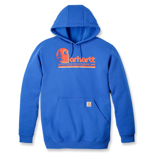 Carhartt grafisch sweatshirt met capuchon - 106498 HG8