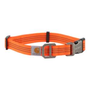 Dog Collar - Hunter orange